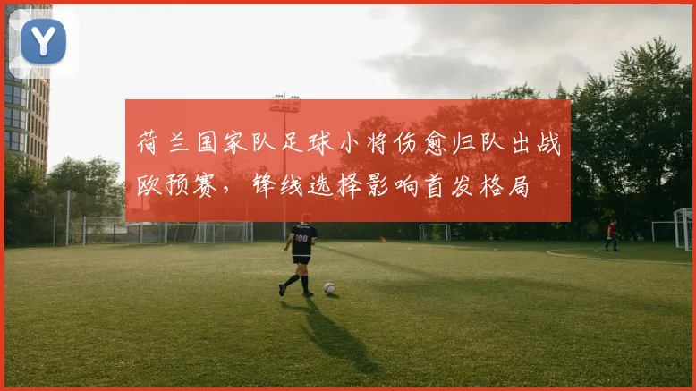荷兰国家队足球小将伤愈归队出战欧预赛，锋线选择影响首发格局