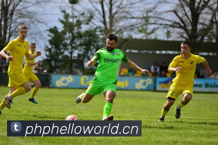 滚球官网app服务体系